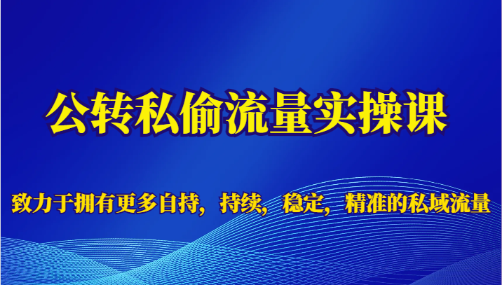 公转私偷流量实操课，致力于拥有更多自持，持续，稳定，精准的私域流量 - 白戈学堂-<a href=