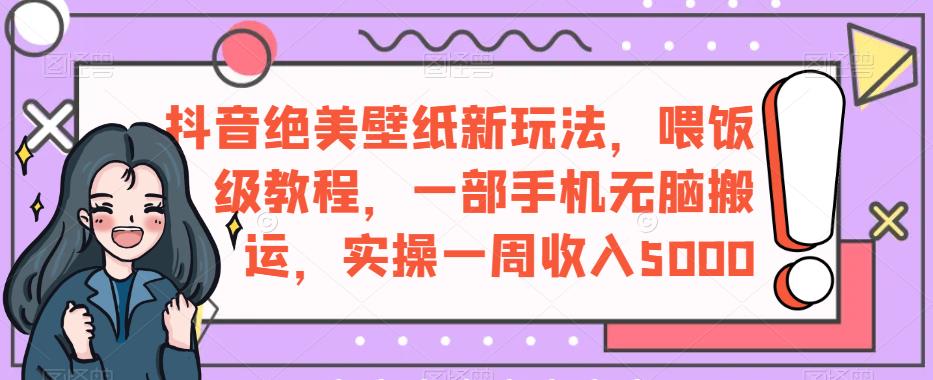 抖音绝美壁纸新玩法，喂饭级教程，一部手机无脑搬运，实操一周收入5000【揭秘】 - 白戈学堂-<a href=