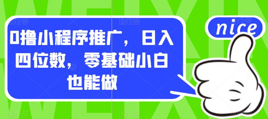 0撸小程序推广，日入四位数，零基础小白也能做【揭秘】 - 白戈学堂-<a href=