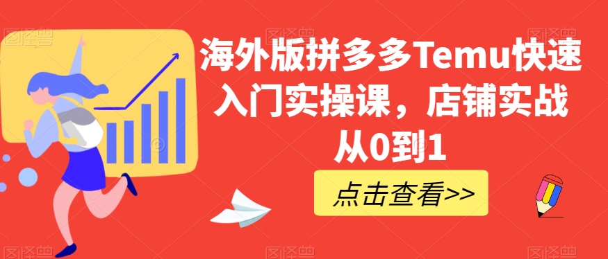 海外版拼多多Temu快速入门实操课，店铺实战从0到1 - 白戈学堂-<a href=