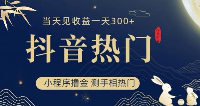 抖音最新小程序撸金，测手相上热门，当天见收益一小时变现300+【揭秘】 - 白戈学堂-<a href=