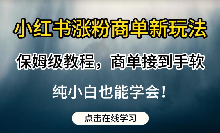 小红书涨粉商单新玩法，保姆级教程，商单接到手软，纯小白也能学会【揭秘】 - 白戈学堂-<a href=