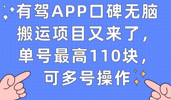 有驾APP口碑无脑搬运项目又来了，单号最高110块，可多号操作 - 白戈学堂-<a href=