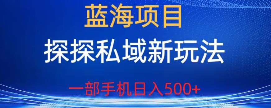 蓝海项目，探探私域新玩法，一部手机日入500+很轻松【揭秘】 - 白戈学堂-<a href=