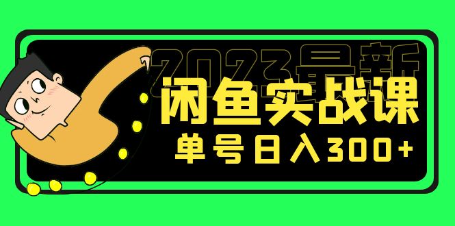 （5117期）花599买的闲鱼项目：2023最新闲鱼实战课，单号日入300+（7节课） - 白戈学堂-<a href=