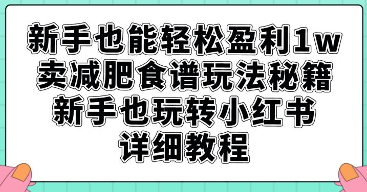 新手也能轻松盈利1w，卖减肥食谱玩法秘籍，新手也玩转小红书详细教程【揭秘】 - 白戈学堂-<a href=