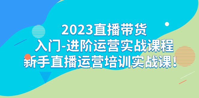 2023直播带货入门-进阶运营实战课程：新手直播运营培训实战课 - 白戈学堂-<a href=