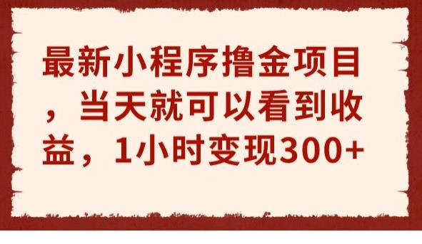 最新小程序撸金项目，当天就可以看到收益，1小时变现300+【揭秘】 - 白戈学堂-<a href=