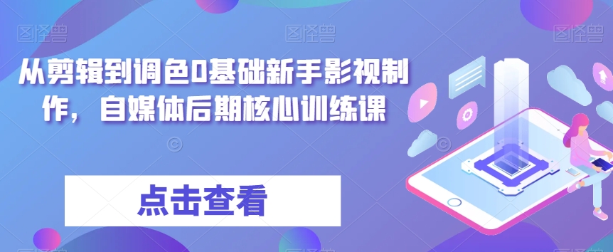 从剪辑到调色0基础新手影视制作，自媒体后期核心训练课 - 白戈学堂-<a href=