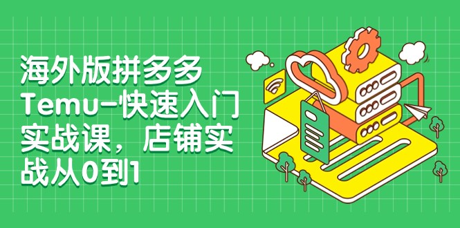 外版拼多多Temu-快速入门实战课，店铺实战从0到1（12节课）-<a href=