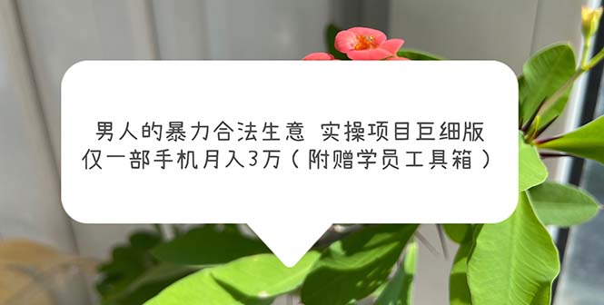 （5962期）男人的暴力合法生意实操项目巨细版：仅一部手机月入3w（附赠学员工具箱） - 白戈学堂-<a href=