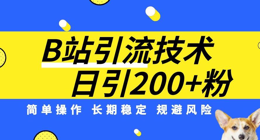 B站引流技术：每天引流200精准粉，简单操作，长期稳定，规避风险 - 白戈学堂-<a href=