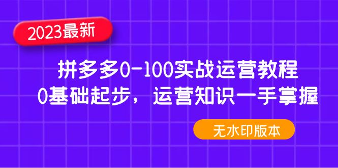 （4835期）2023拼多多0-100实战运营教程，0基础起步，运营知识一手掌握（无水印） - 白戈学堂-<a href=