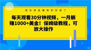 每天观看30分钟视频，一月躺赚1000+美金！保姆级教程，可放大操作【揭秘】 - 白戈学堂-<a href=