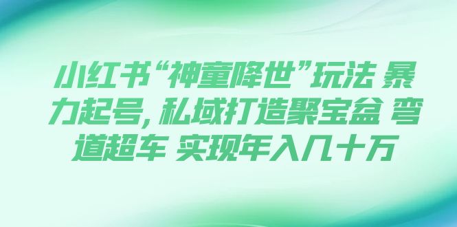 （7673期）小红书“神童降世”玩法 暴力起号,私域打造聚宝盆 弯道超车 实现年入几十万 - 白戈学堂-<a href=