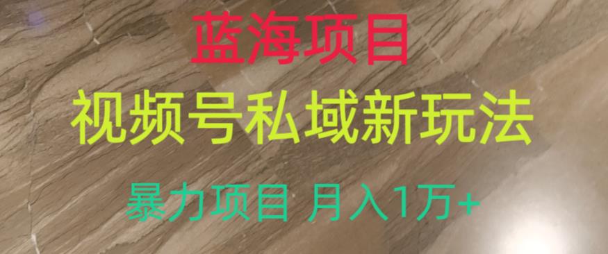 蓝海项目，视频号私域新玩法，暴力项目月入1万+【揭秘】 - 白戈学堂-<a href=