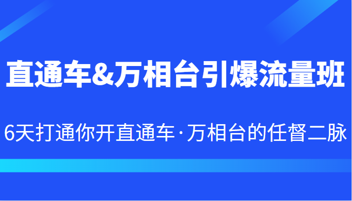 直通车&万相台引爆流量班 6天打通你开直通车·万相台的任督二脉 - 白戈学堂-<a href=