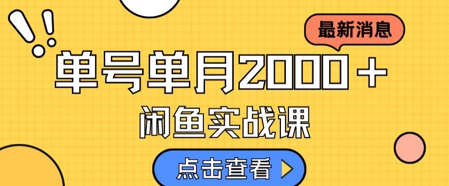 最新闲鱼日入500＋，虚拟资料变现喂饭级讲解 - 白戈学堂-<a href=