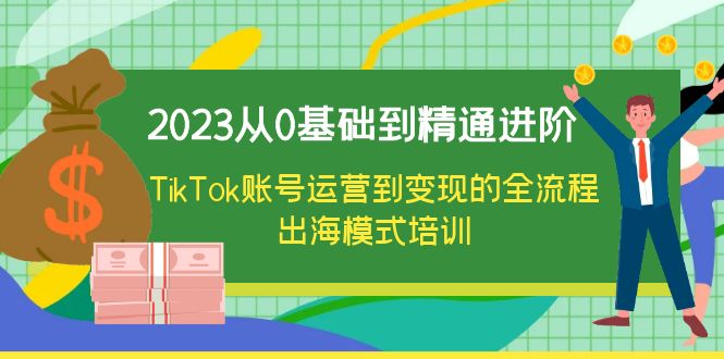 （6299期）2023从0基础到精通进阶，TikTok账号运营到变现的全流程出海模式培训 - 白戈学堂-<a href=