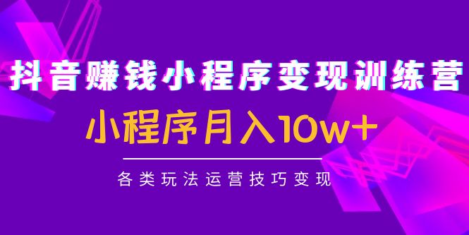 （4511期）抖音赚钱小程序变现训练营：小程序月入10w+各类玩法运营技巧变现 - 白戈学堂-<a href=