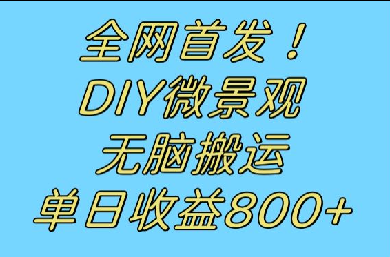 全网首发冷门赛道！DIY微景观，无脑搬运视频，日收益800+ - 白戈学堂-<a href=