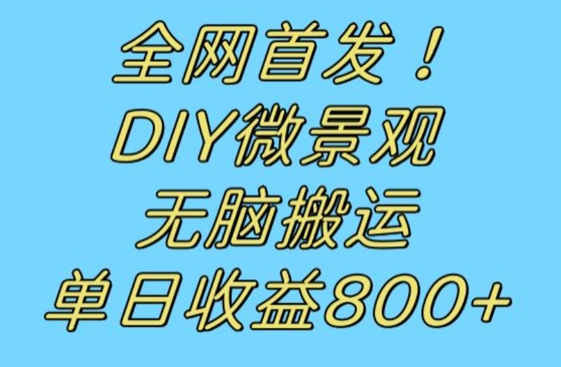 全网首发冷门赛道！DIY微景观，无脑搬运视频，日收益800+【揭秘】 - 白戈学堂-<a href=