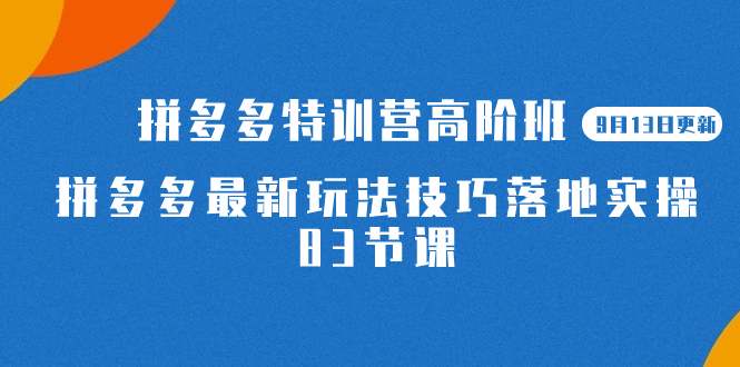 （7295期）2023拼多多·特训营高阶班【9月13日更新】拼多多最新玩法技巧落地实操-83节 - 白戈学堂-<a href=