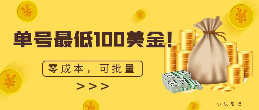 单号最低100美金，零成本，小白无脑操作。可复制，可扩大。 - 白戈学堂-<a href=