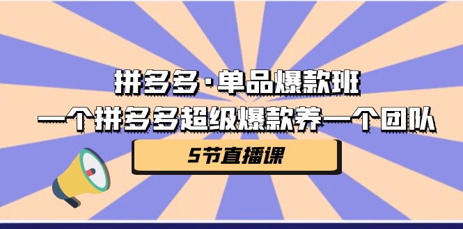 （7019期）拼多多·单品爆款班，一个拼多多超级爆款养一个团队（5节直播课） - 白戈学堂-<a href=