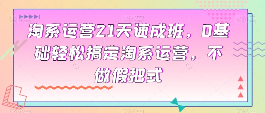 淘系运营21天速成班，0基础轻松搞定淘系运营，不做假把式 - 白戈学堂-<a href=