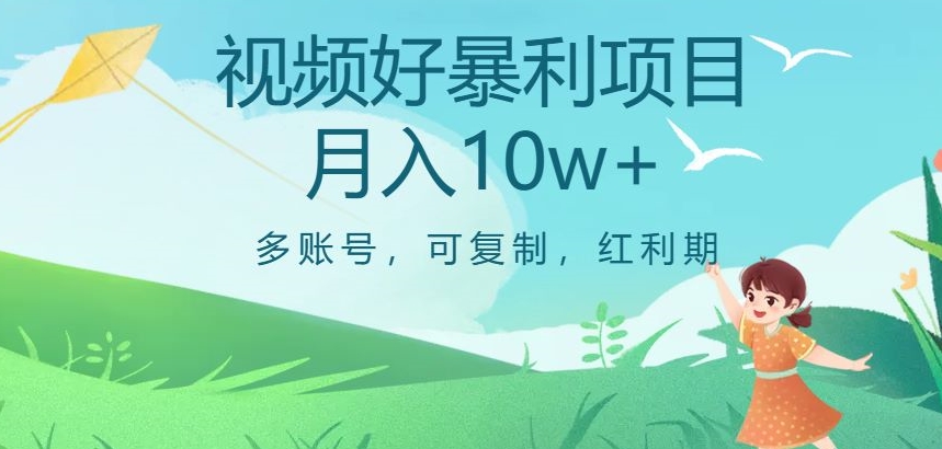 视频号暴利项目，多账号，可复制，红利期，月入10w+【揭秘】 - 白戈学堂-<a href=