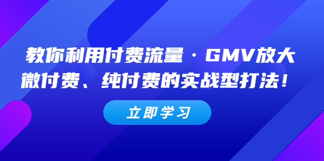 （5106期）教你利用付费流量·GMV放大，微付费、纯付费的实战型打法！ - 白戈学堂-<a href=