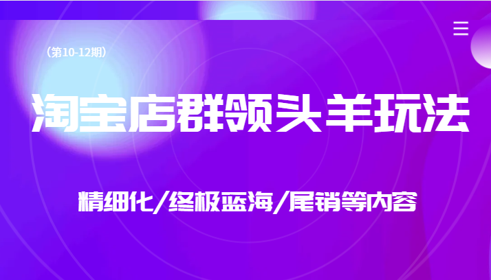 淘宝店群领头羊玩法，精细化/终极蓝海/尾销等内容（第10-12期） - 白戈学堂-<a href=