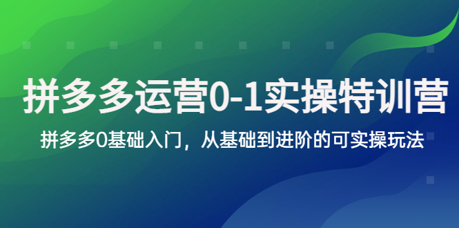 （5747期）拼多多-运营0-1实操训练营，拼多多0基础入门，从基础到进阶的可实操玩法 - 白戈学堂-<a href=