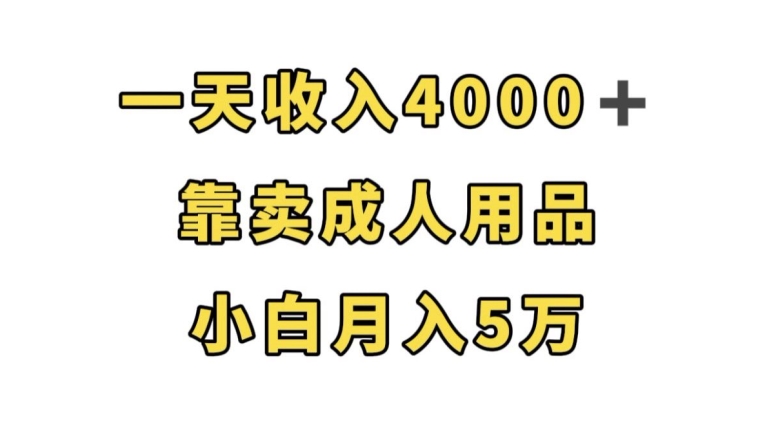 一天收入4000+，靠卖成人用品，小白轻松月入5万【揭秘】 - 白戈学堂-<a href=