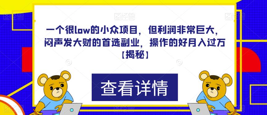 一个很low的小众项目，但利润非常巨大，闷声发大财的首选副业，操作的好月入过万【揭秘】 - 白戈学堂-<a href=