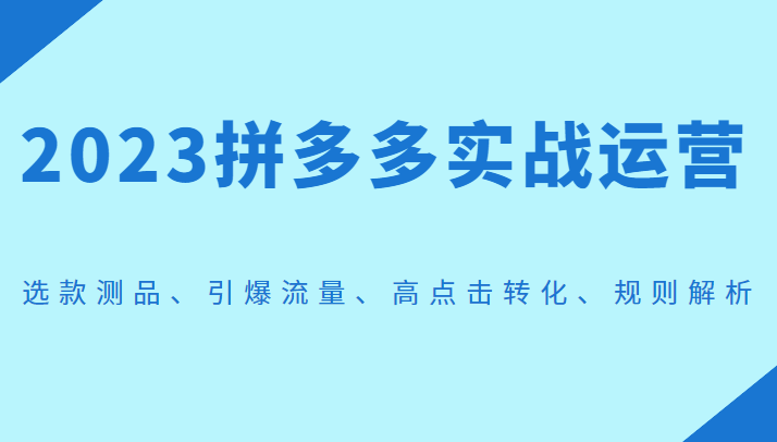 2023拼多多实战运营，选款测品、引爆流量、高点击转化、规则解析 - 白戈学堂-<a href=