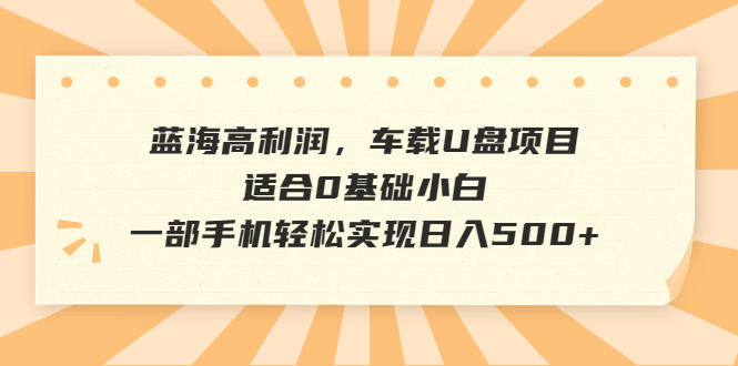 （6600期）蓝海高利润，车载U盘项目，适合0基础小白，一部手机轻松实现日入500+ - 白戈学堂-<a href=