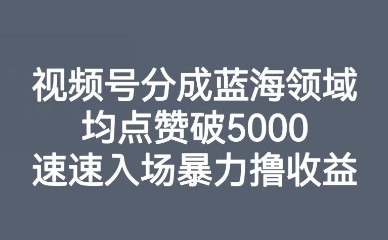 视频号分成蓝海领域，均点赞破5000，速速入场暴力撸收益 - 白戈学堂-<a href=