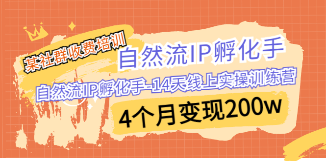 （6924期）某社群收费培训：自然流IP 孵化手-14天线上实操训练营 4个月变现200w - 白戈学堂-<a href=