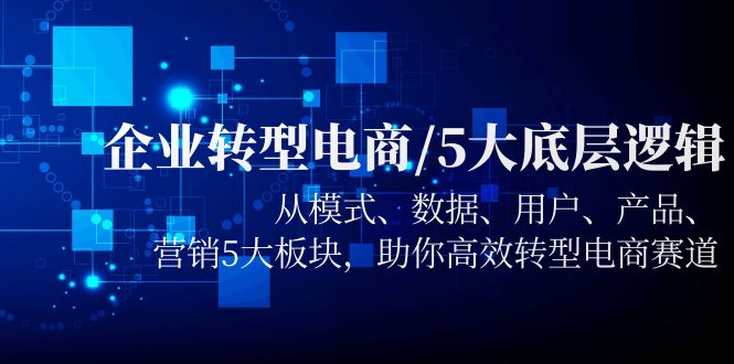 （5939期）企业转型电商/5大底层逻辑，从模式 数据 用户 产品 营销5大板块，高效转型 - 白戈学堂-<a href=