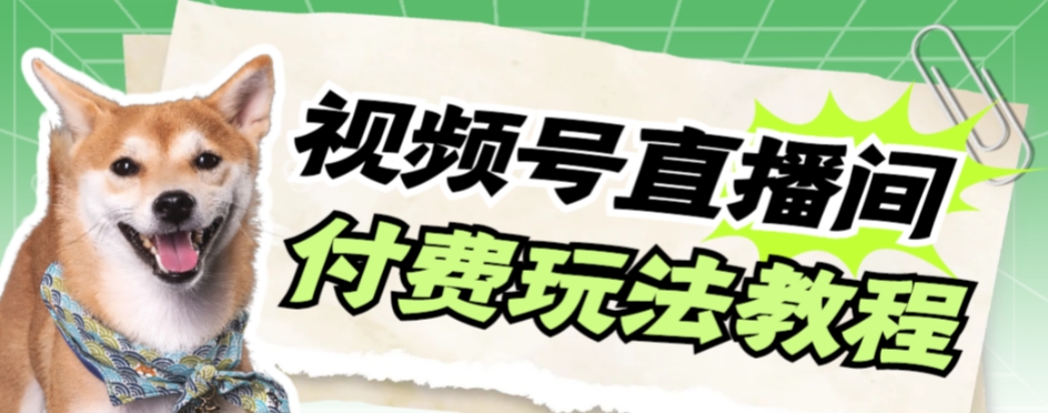 视频号美女付费无人直播，轻松日入500+【详细玩法教程】 - 白戈学堂-<a href=