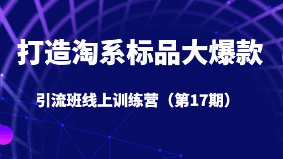 打造淘系标品大爆款引流班线上训练营（第17期）5天直播授课 - 白戈学堂-<a href=