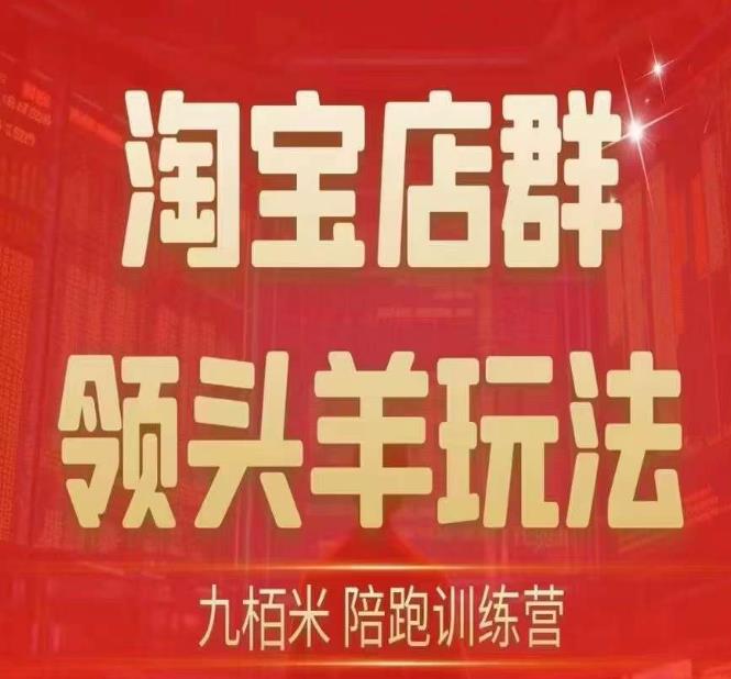 九栢米-淘宝店群领头羊玩法，教你整个淘宝店群领头羊玩法以及精细化/终极蓝海/尾销等内容 - 白戈学堂-<a href=