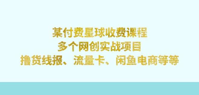 某付费星球课程：多个网创实战项目，撸货线报、流量卡、闲鱼电商等（文档非视频） - 白戈学堂-<a href=