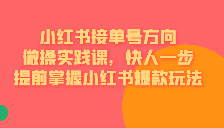 [小红书]小红书接单号方向微操实践课，快人一步提前掌握小红书爆款玩法 - 白戈学堂-<a href=