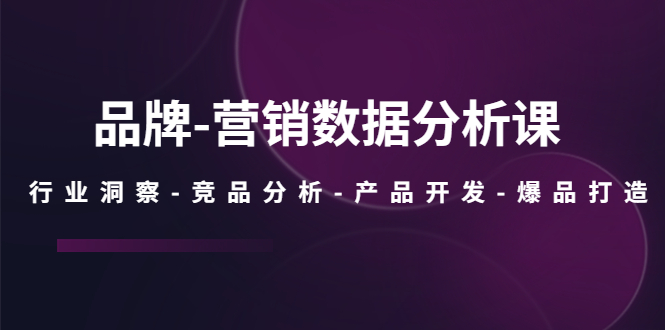 （5565期）品牌-营销数据分析课，行业洞察-竞品分析-产品开发-爆品打造 - 白戈学堂-<a href=