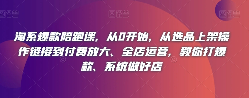 淘系爆款陪跑课，从0开始，从选品上架操作链接到付费放大、全店运营，教你打爆款、系统做好店 - 白戈学堂-<a href=