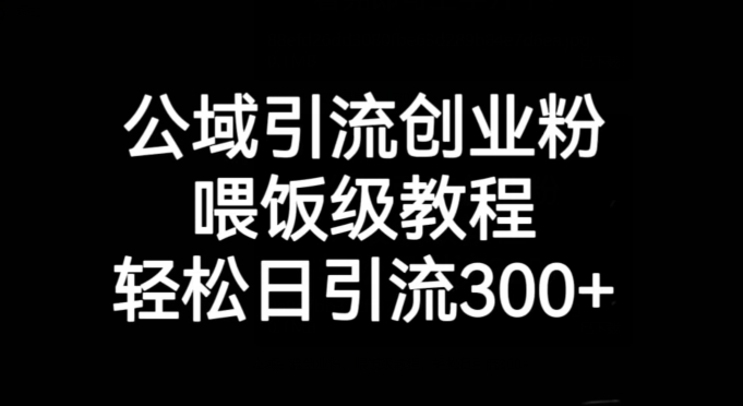 公域引流创业粉，喂饭级教程，轻松日引流300+【揭秘】 - 白戈学堂-<a href=