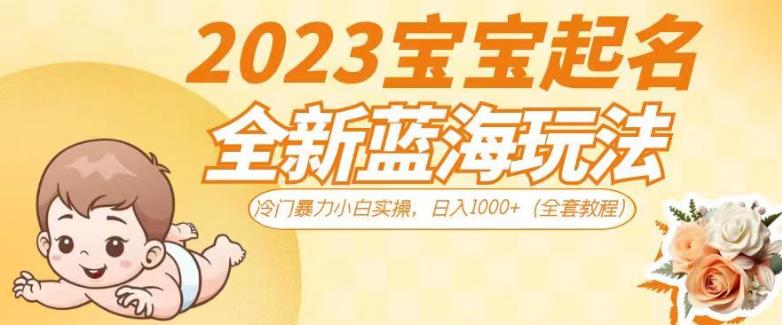 2023宝宝起名全新蓝海玩法，冷门暴力小白实操，日入1000+（全套教程）【揭秘】 - 白戈学堂-<a href=